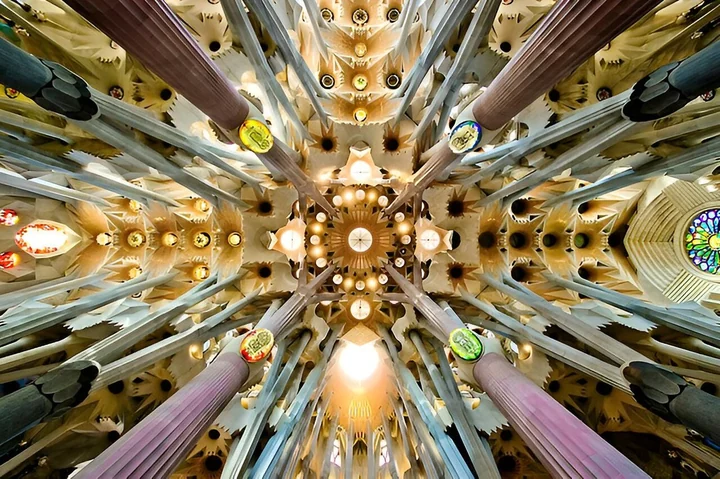 Looking straight up into the vaulted ceiling where the columns branch out